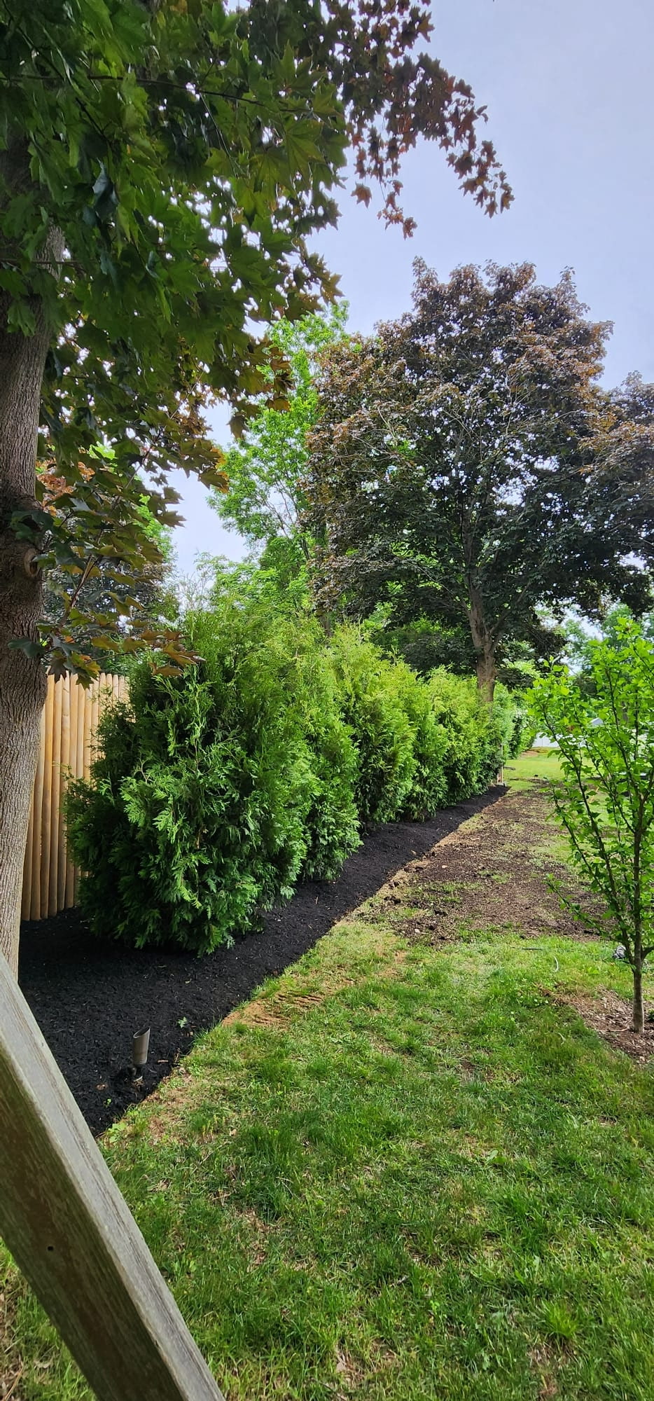 Landscaping Project