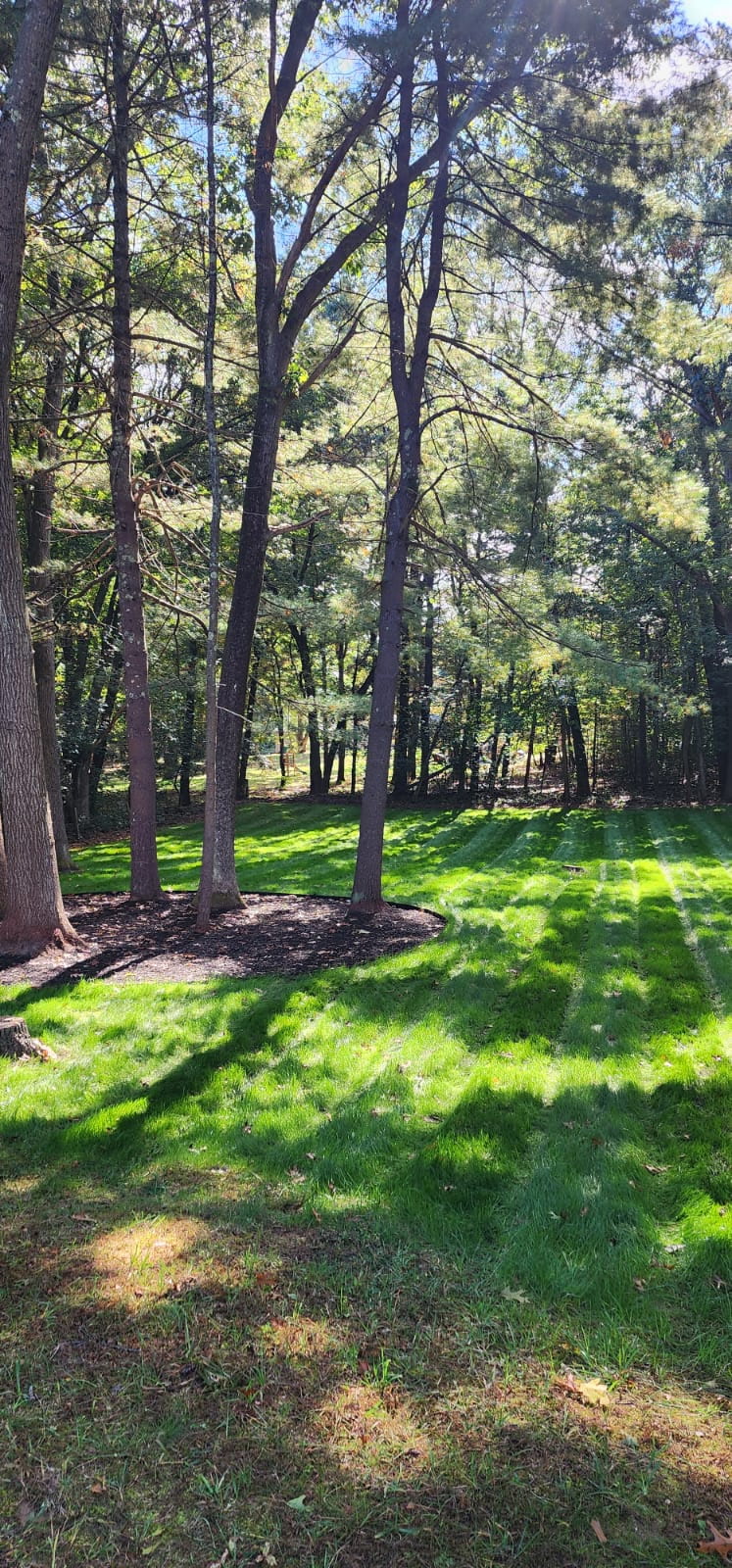 Landscaping Project
