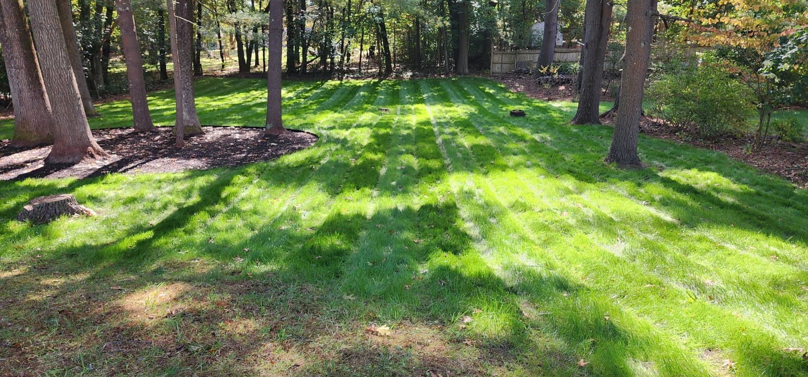 Landscaping Project
