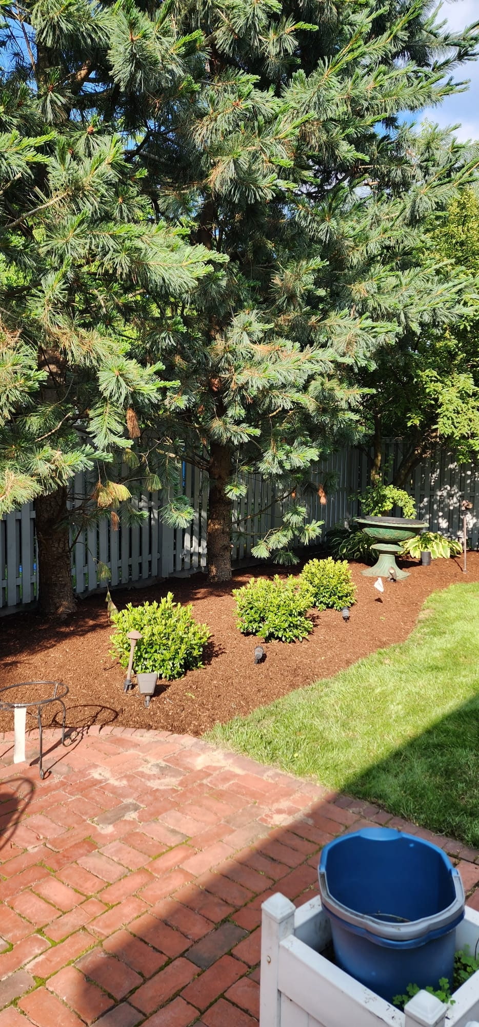 Landscaping Project